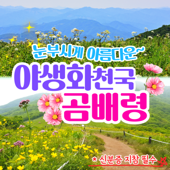 천상의화원 곰배령 1박2일