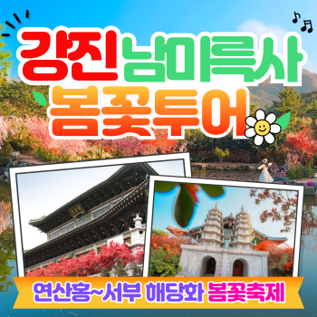강진 남미륵사 봄꽃 당일투어