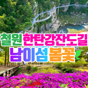철원 한탕강 잔도길+남이섬 봄꽃