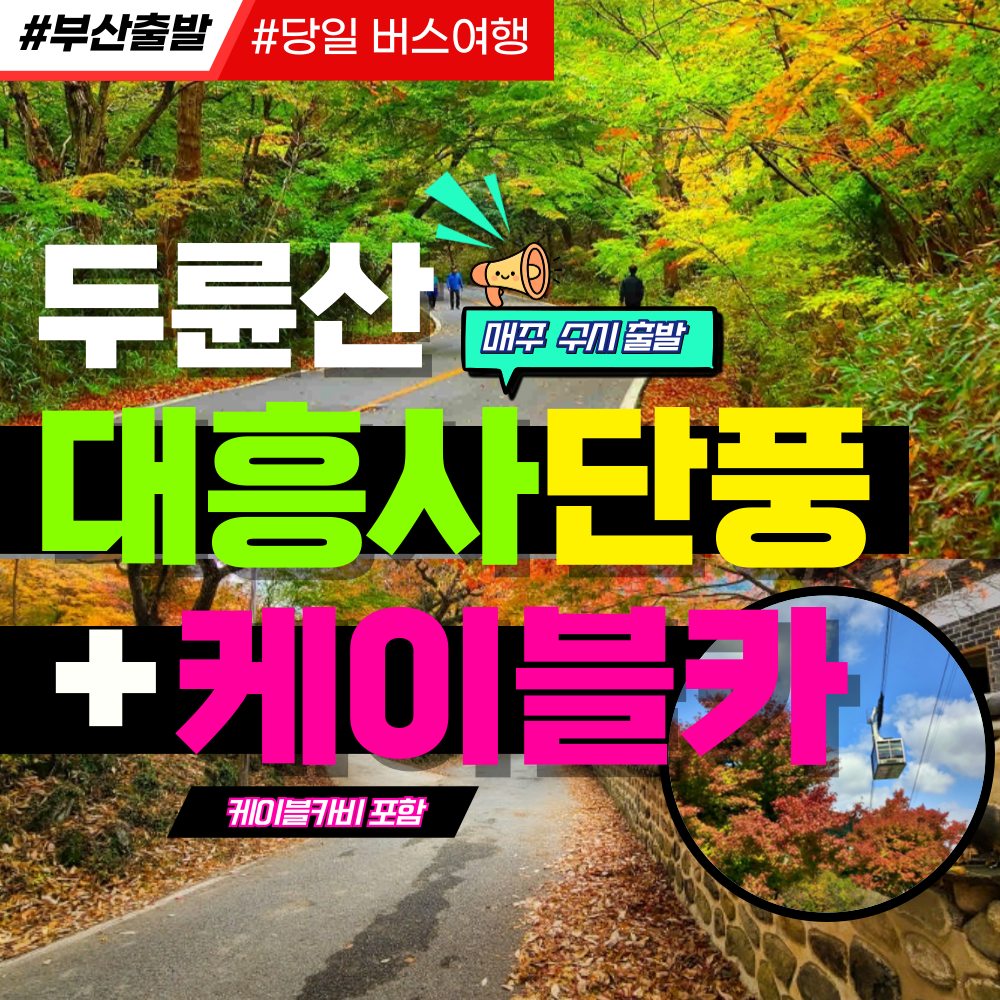 해남 두륜산 대흥사 단풍+케이블카