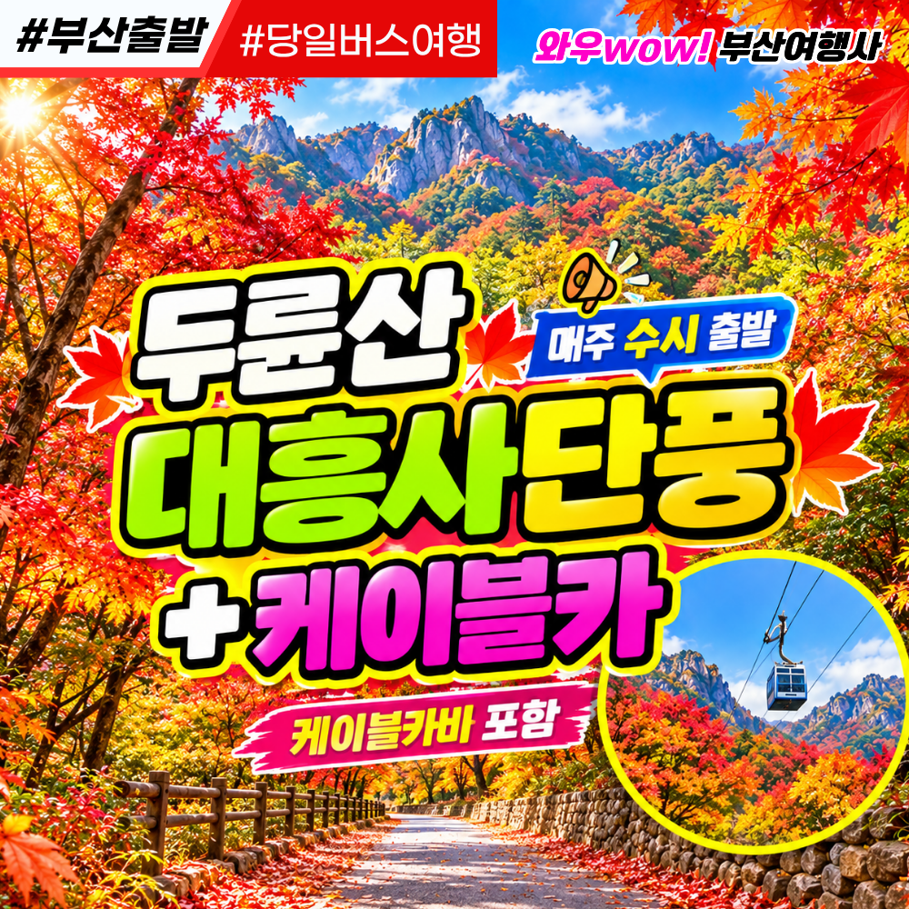 [부산출발] 해남 두륜산 대흥사 단풍 + 케이블카 단풍구경 당일 테마여행  버스투어