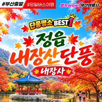 [부산출발] 정읍 내장산 + 내장사 단풍투어  당일 테마여행  버스투어