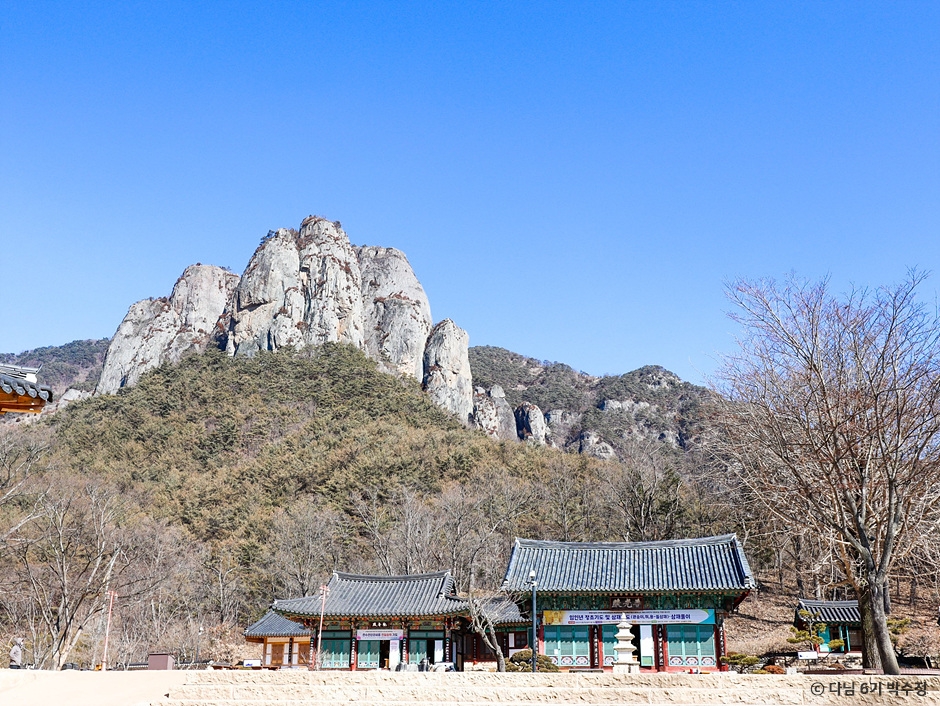 청송 주왕산+주산지 단풍투어