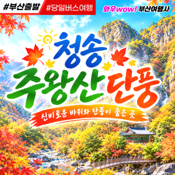 [부산출발] 청송 주왕산 + 주산지 단풍투어 당일 버스여행