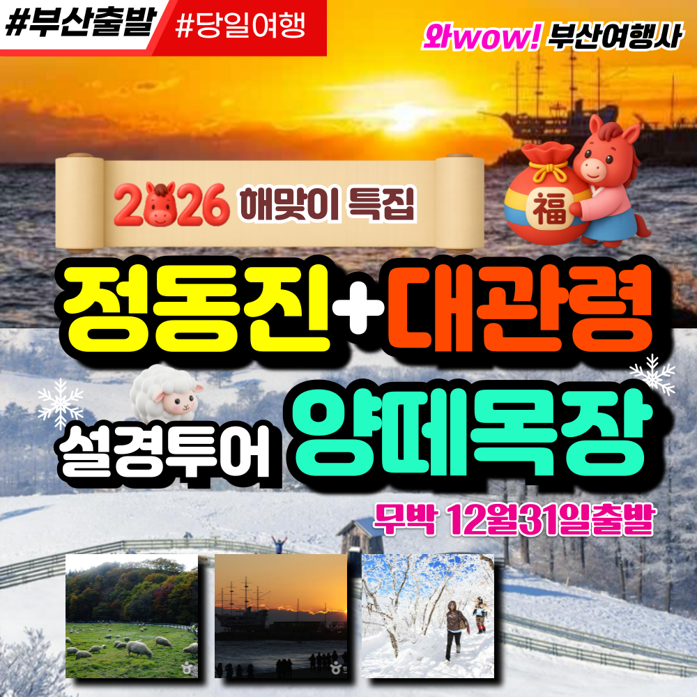 와우부산여행사  [부산출발]  정동진+대관령 양떼목장 설경투어 당일
