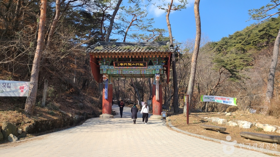 구정특집 오색 별빛축제 아침고요수목원 1박2일