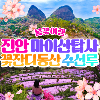 진안 마이산탑사/꽃잔디동산/수선루 봄꽃여행 당일