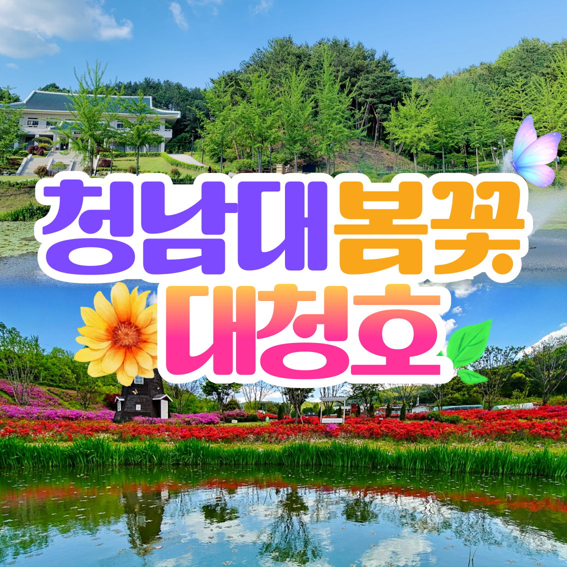 청남대 봄꽃 대청호 당일