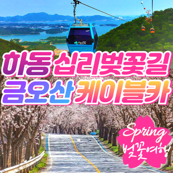 하동 십리벚꽃길 금오산케이블카 벚꽃 당일투어