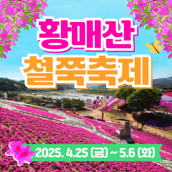 황매산 철쭉축제 당일