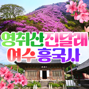 여수영취산 진달래축제 흥국사 당일