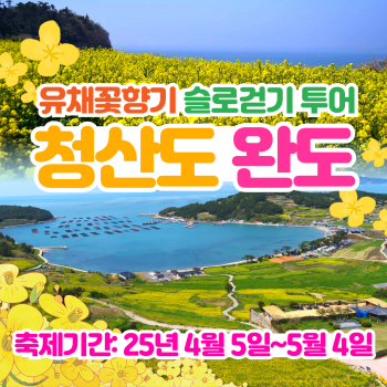 청산도 완도 슬로걷기투어 당일