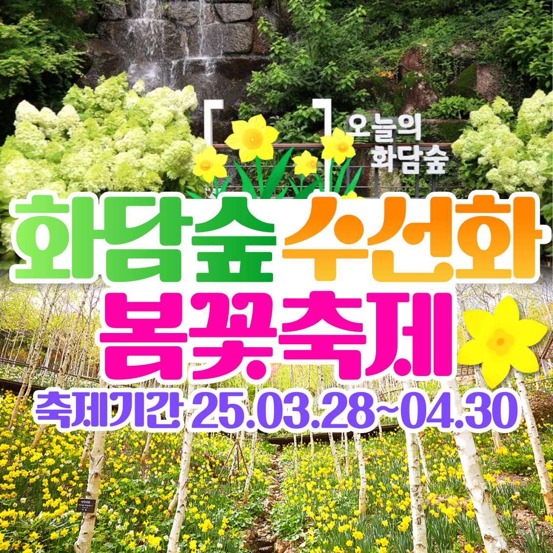와우부산여행사   [부산출발]  화담숲 수선화 봄꽃축제