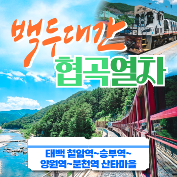 백두대간 협곡열차투어 당일