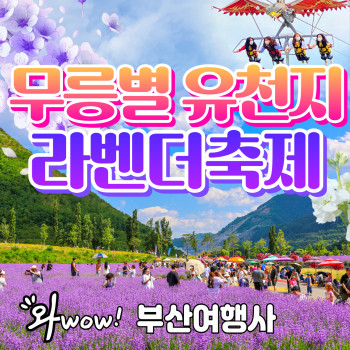무릉별 유천지 라벤더 축제