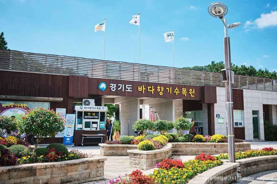 서해 맛 기행 대부도 제부도케이블카 예산 1박2일