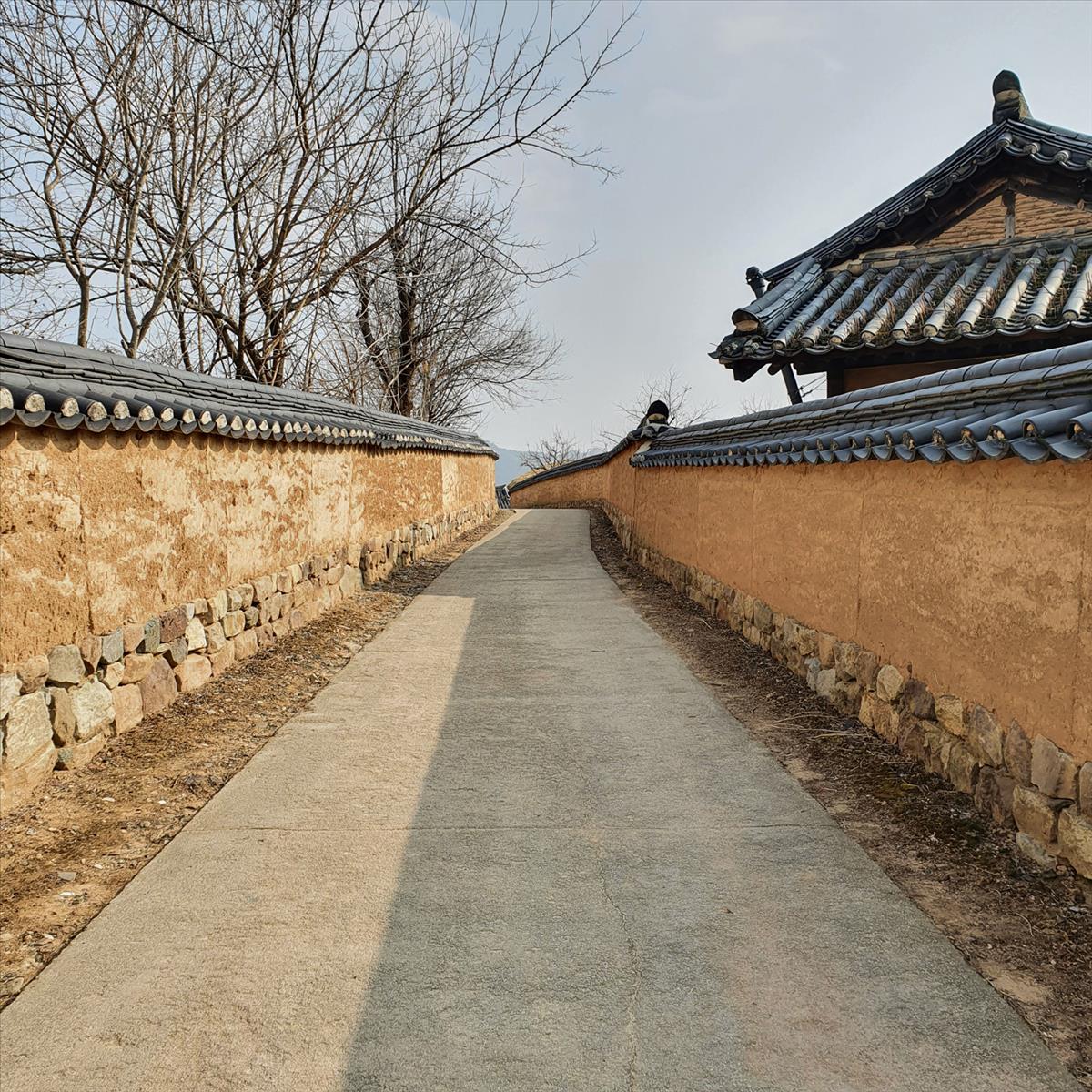 안동 하회마을 낭만열차