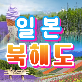 북해도 삿포로 일본숙박 비에이, 후라노 1박4일