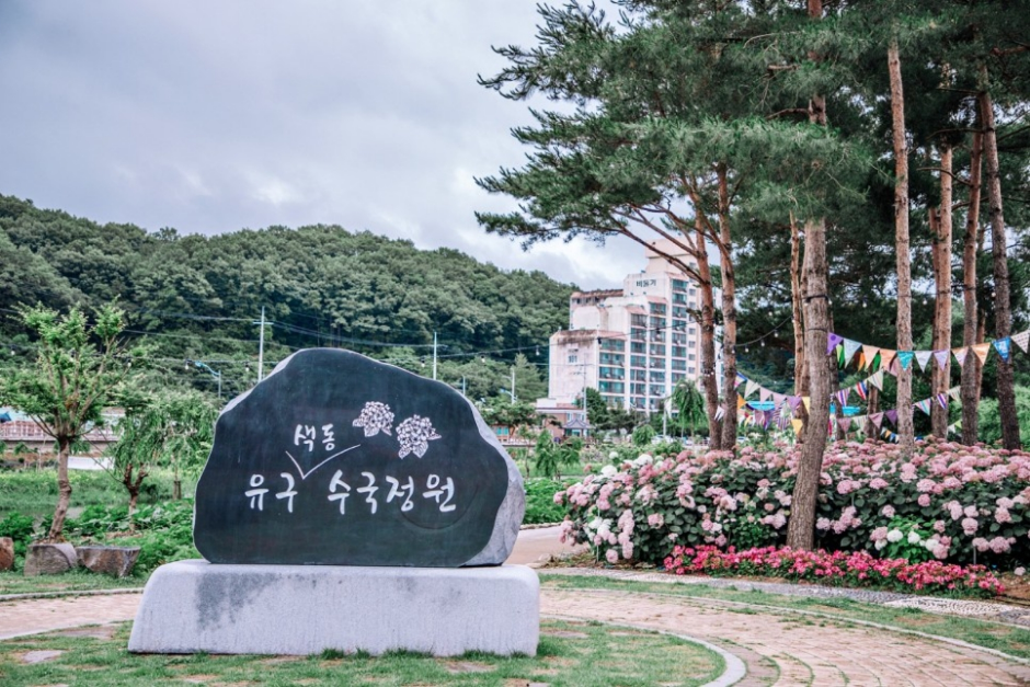공주 유구색동 수국 & 마곡사 꽃 여행!