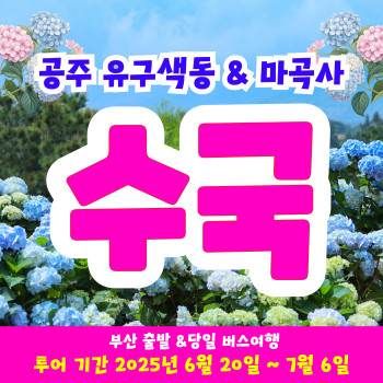 공주 유구색동 수국 & 마곡사 꽃 여행!