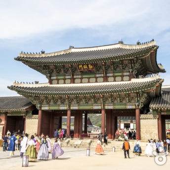 [부산출발] 청와대 + 경복궁 1박 2일 패키지 버스투어여행