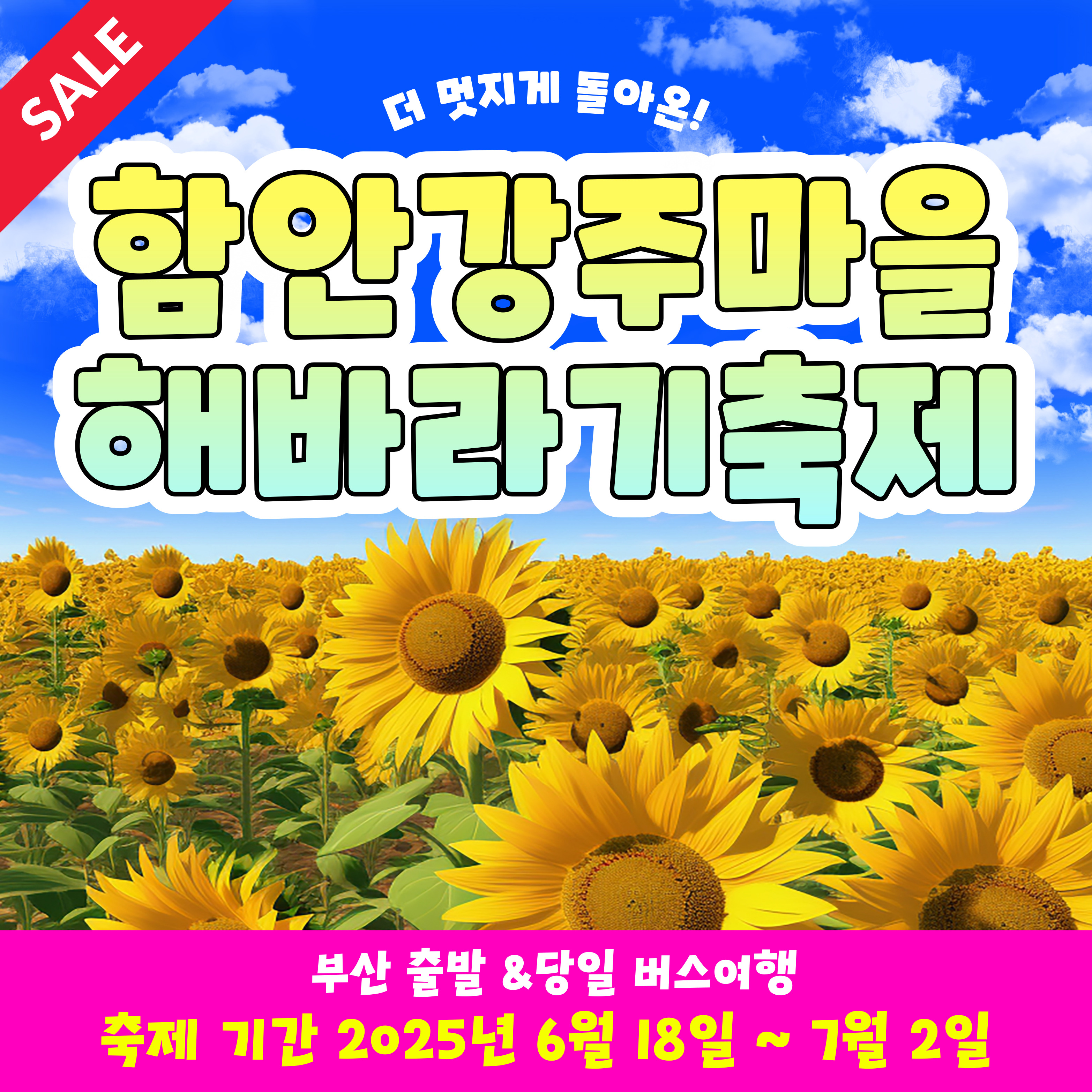 특가!!! 와우부산여행사 [부산출발] 함안 강주마을 해바라기 축제 당일치기 버스여행