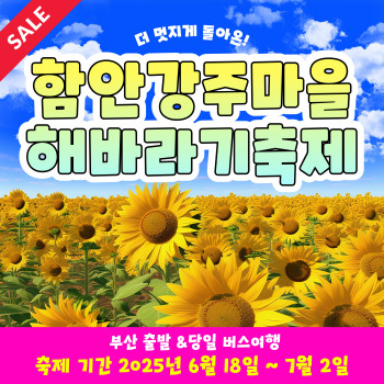 특가!!! 와우부산여행사 [부산출발] 함안 강주마을 해바라기 축제 당일치기 버스여행