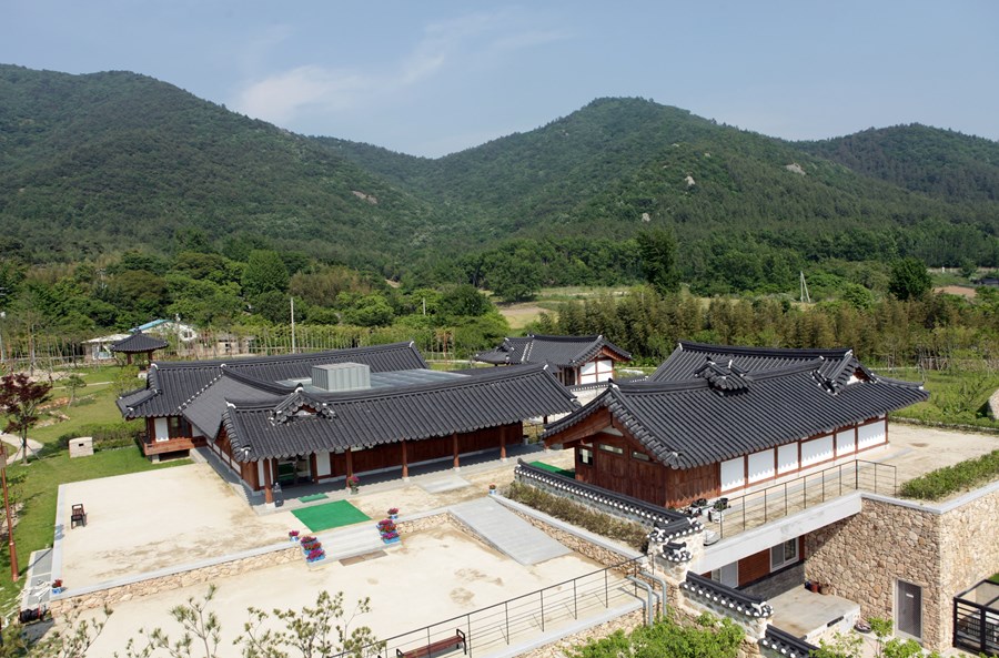 와우부산여행사 [부산출발] 보성 윤제림 수국 축제 당일치기 버스여행투어