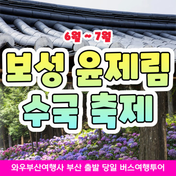 와우부산여행사 [부산출발] 보성 윤제림 수국 축제 당일치기 버스여행투어