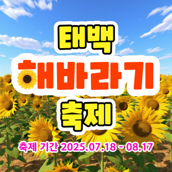 와우부산여행사 [부산출발] 태백 해바라기 축제 식사제공 당일치기 버스테마여행