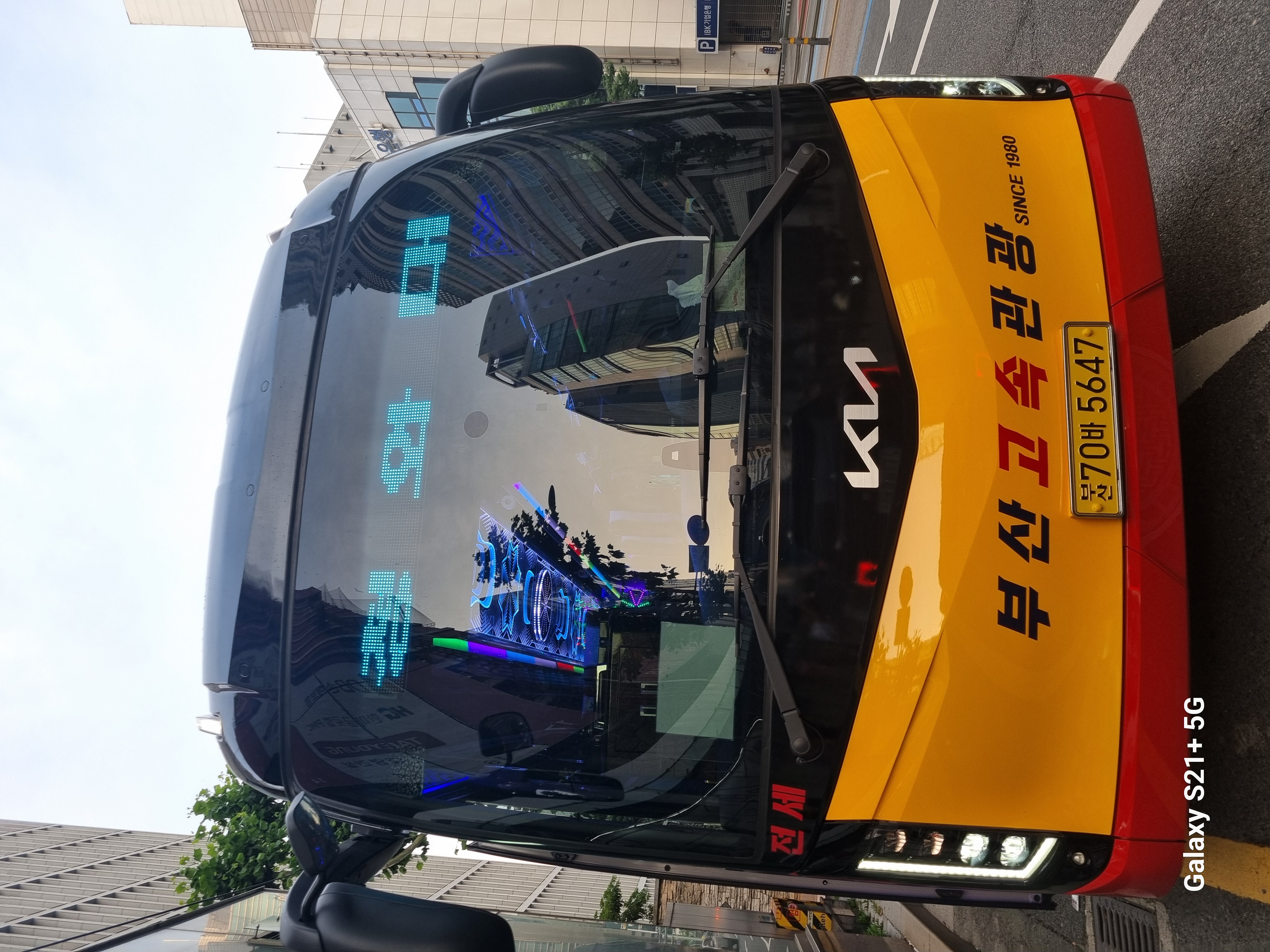 [부산, 경남출발] 결혼식, 관광서, 기업체 관광버스 대절 최신형 버스 44인승