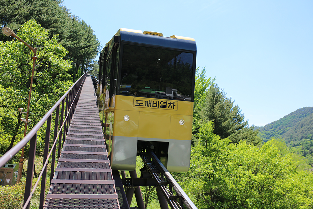 [부산출발] 여름특집 기차여행 정동진, 동해, 태백 1박 2일