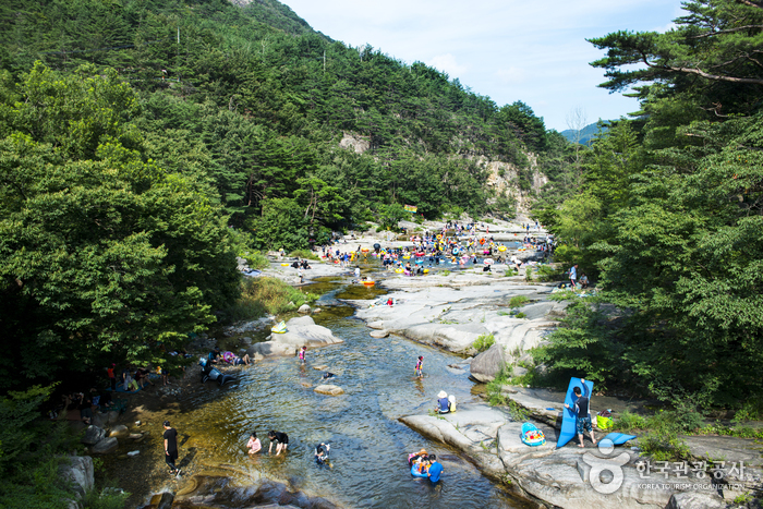 [부산출발] 여름특집 기차여행 정동진, 동해, 태백 1박 2일