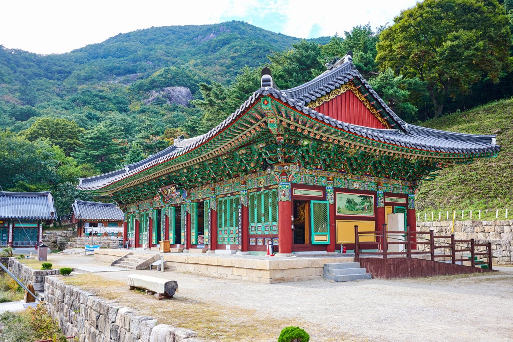 [부산출발] 여름특집 기차여행 정동진, 동해, 태백 1박 2일