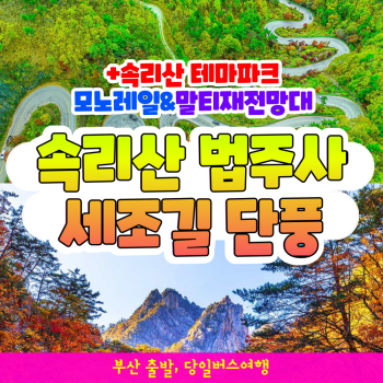 [부산출발] 속리산 법주사 세조길 단풍 + 테마파크 모노레일 말티재 전망대 당일치기 국내 버스여행