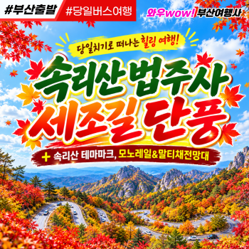 [부산출발] 속리산 법주사 세조길 단풍 + 테마파크 모노레일 말티재 전망대 당일 버스여행