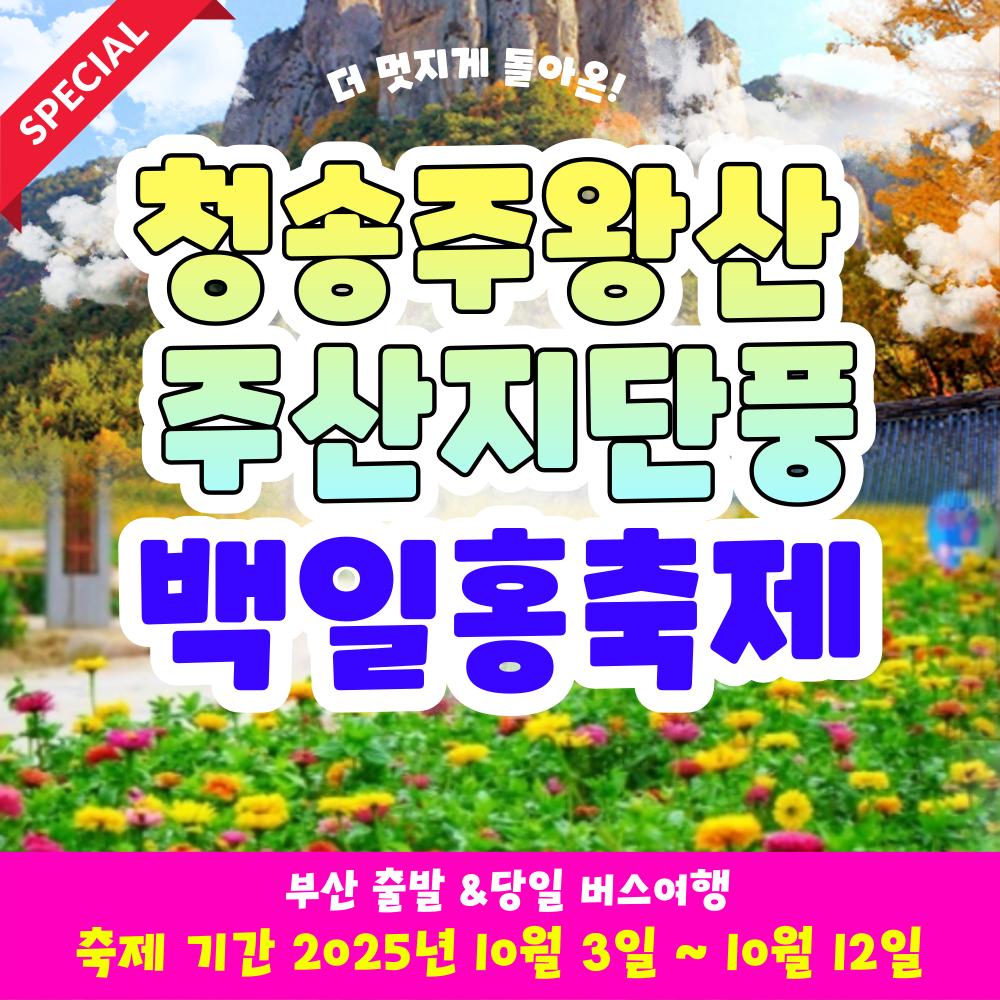 [부산출발] 청송 주왕산 주산지 단풍 + 백일홍 축제 당일버스여행