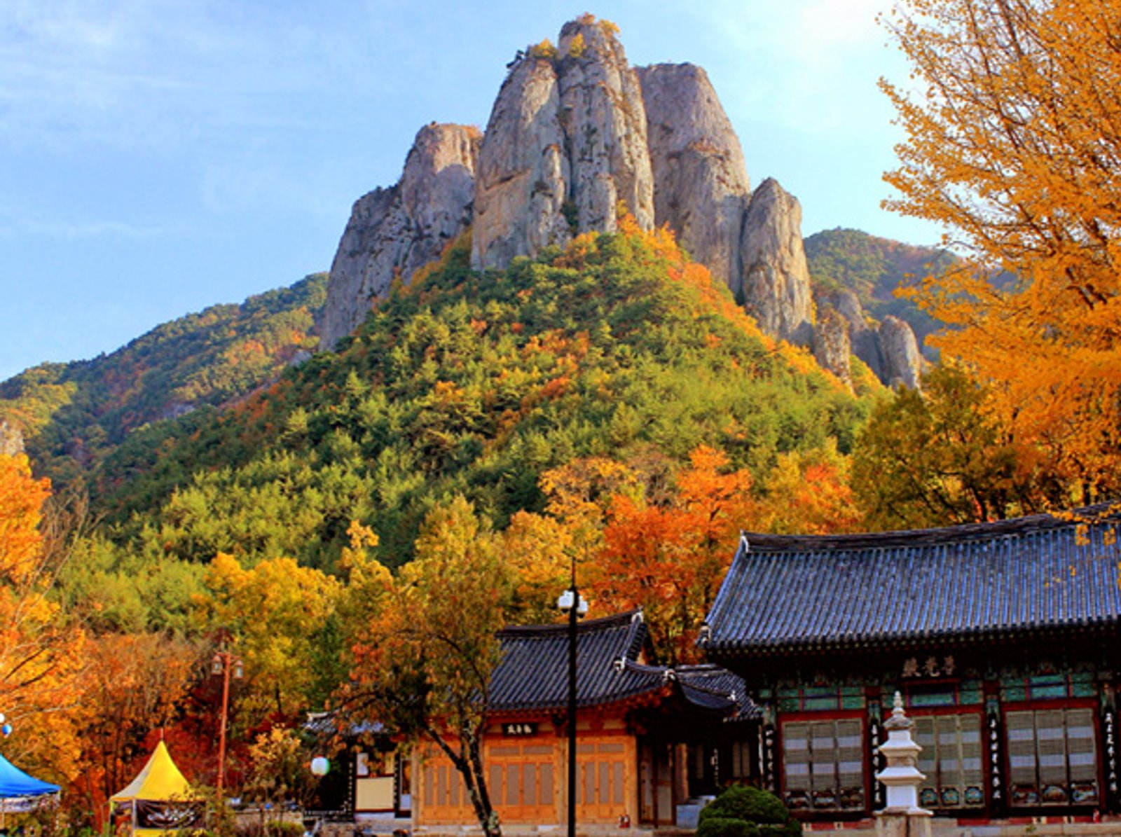 [부산출발] 청송 주왕산 주산지 단풍 + 백일홍 축제 당일버스여행