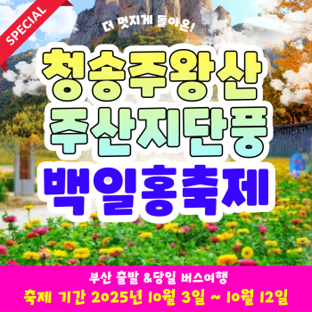 [부산출발] 청송 주왕산 주산지 단풍 + 백일홍 축제 당일버스여행