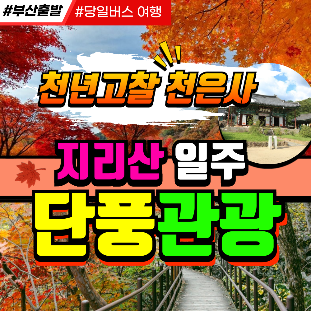 부산출발  천년 고찰 천은사 단풍 당일여행