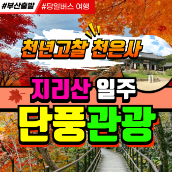 부산출발  천년 고찰 천은사 단풍 당일여행