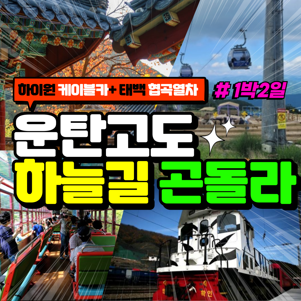 부산출발  운탄고도 하늘길 곤돌라 1박2일 버스여행