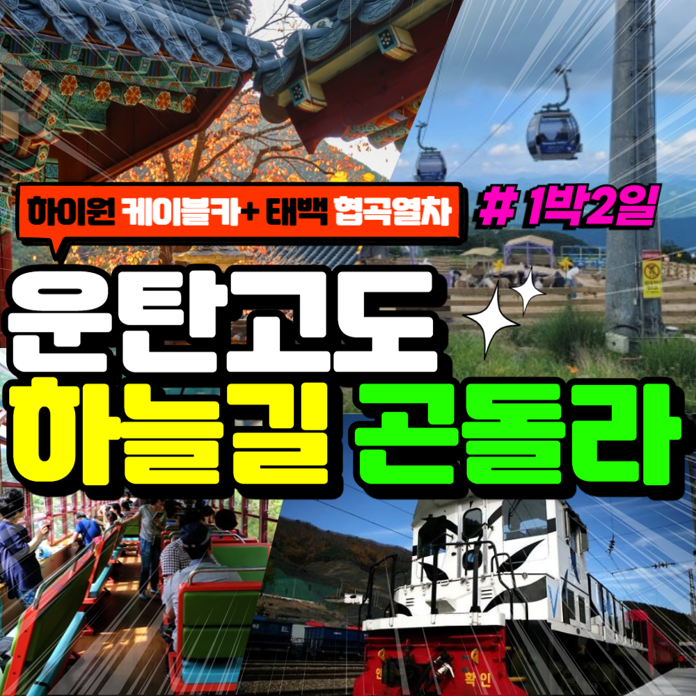 부산출발  운탄고도 하늘길 곤돌라 1박2일 버스여행