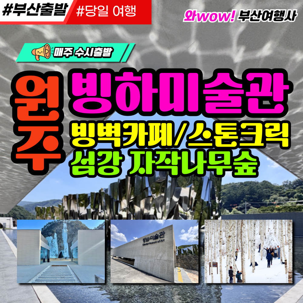 [부산출발]원주 빙하미술관/ 빙벽카페(스톤크릭)/섬강자작나무숲 당일여행