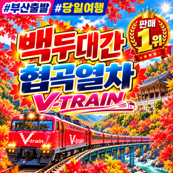 [부산출발] 백두대간 협곡열차 투어 당일 버스여행 출발