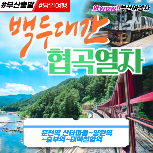 [부산출발] 백두대간 협곡열차 투어 당일 버스여행 출발 와우(wow)부산여행사