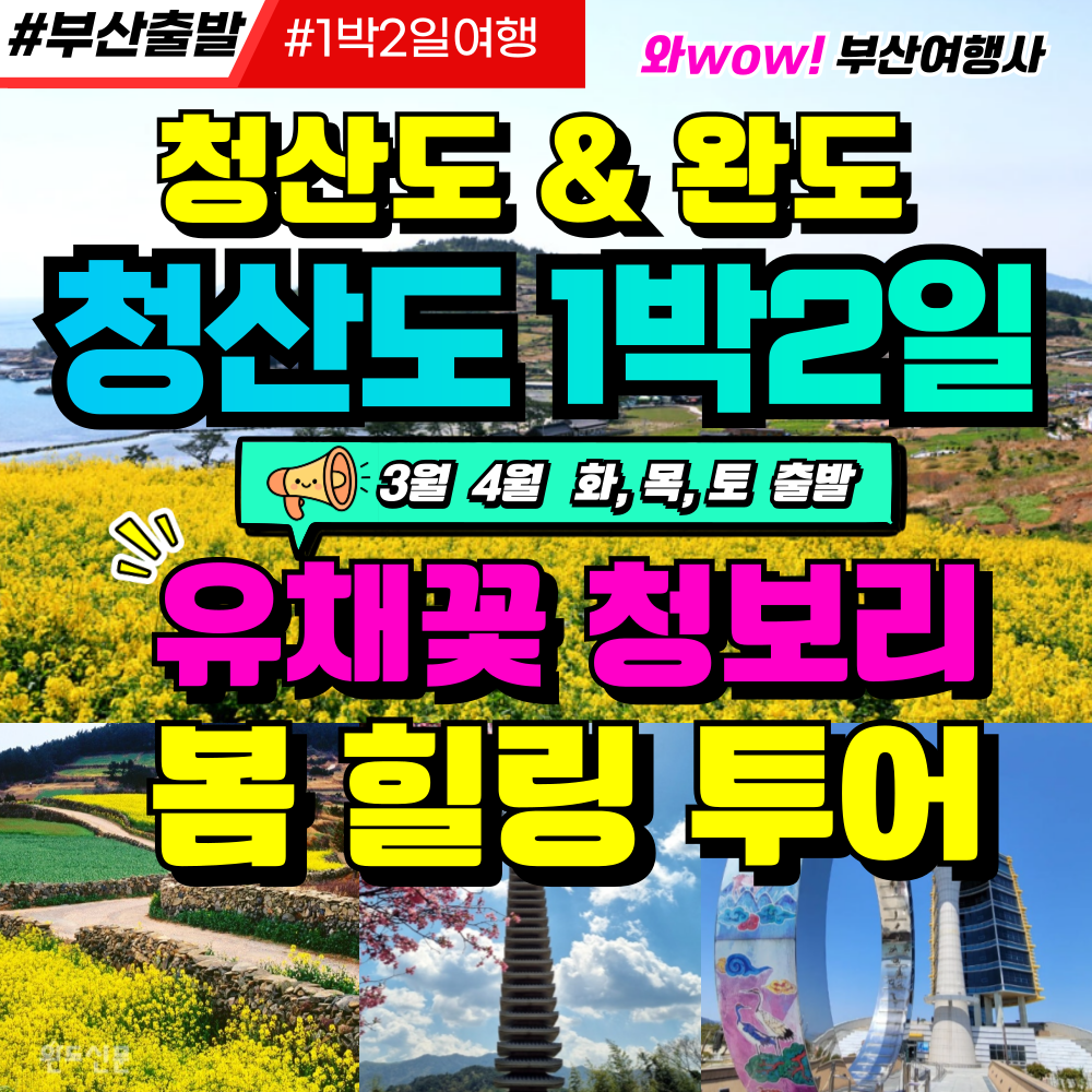 [부산출발]   청산도 완도항 봄 힐링 투어  1박2일여행