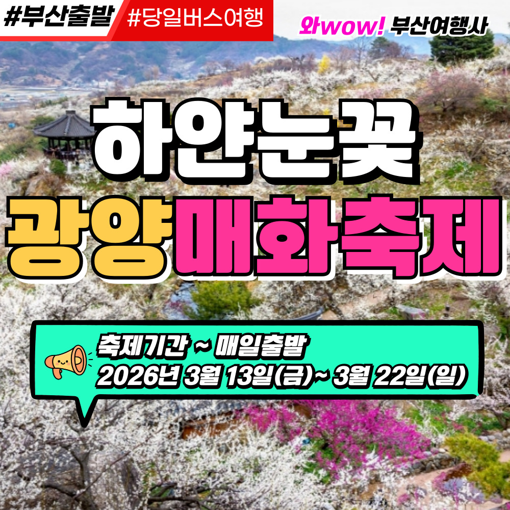[부산출발] 하얀눈꽃 광양 매화축제