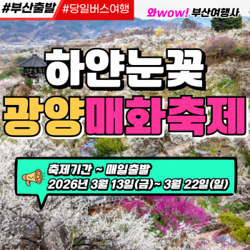 [부산출발] 하얀눈꽃 광양 매화축제