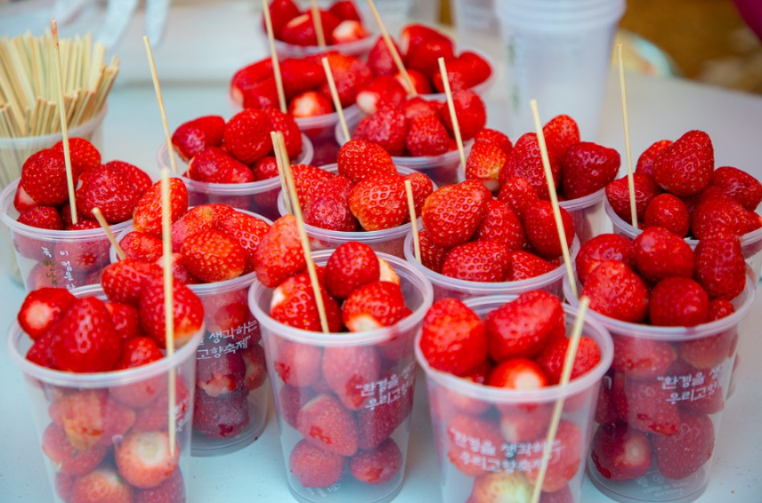 [부산출발] 2026 논산딸기축제